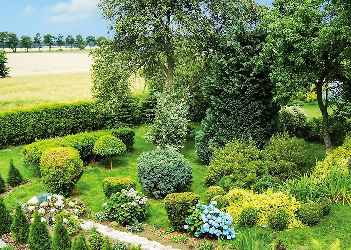 Polanka Appartamento Gościno